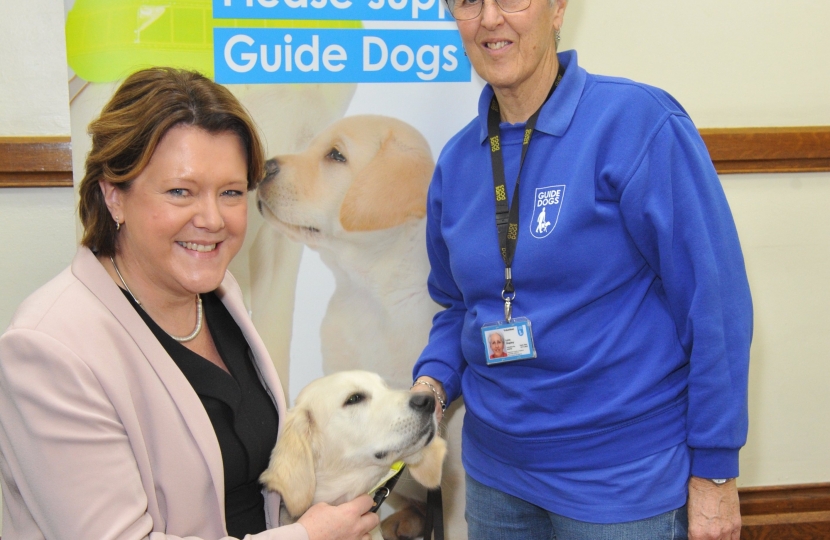 Guide Dogs 17