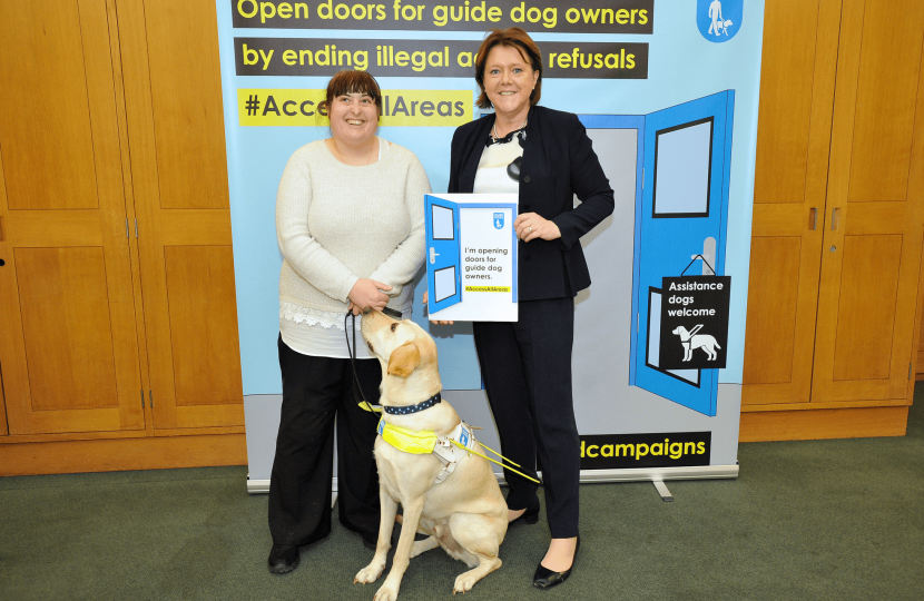 Guide Dogs 2018