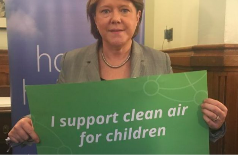 Maria Miller Clean Air Campaign