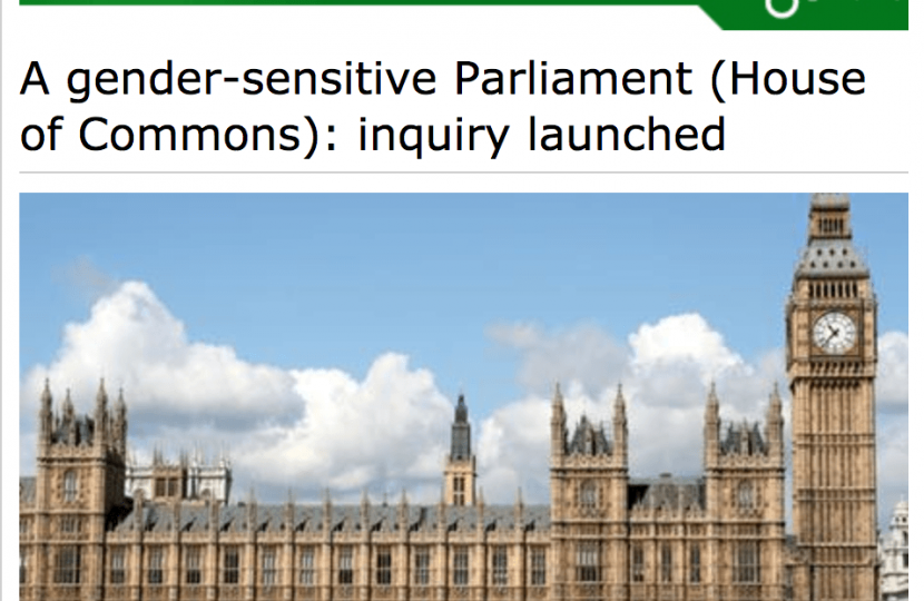 Gender Sensitive Parliament 
