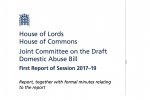 Joint Committee on DDAB Report