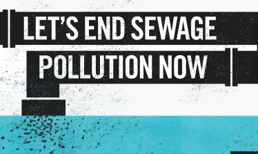 End sewage pollution now